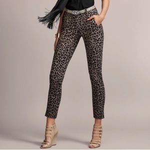 Cabi Leopard Print Jungle Trouser #3393 Size 6